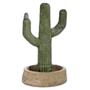 Cactus - Life Like
