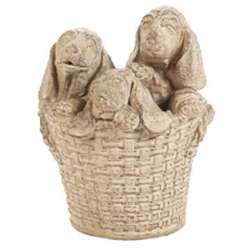 Dogs in a Basket
