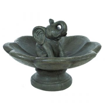 Large Lily / Elephant Fountain