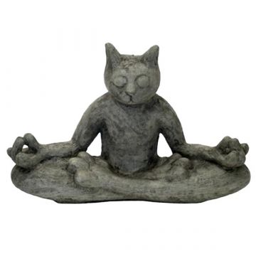 Meditating Cat